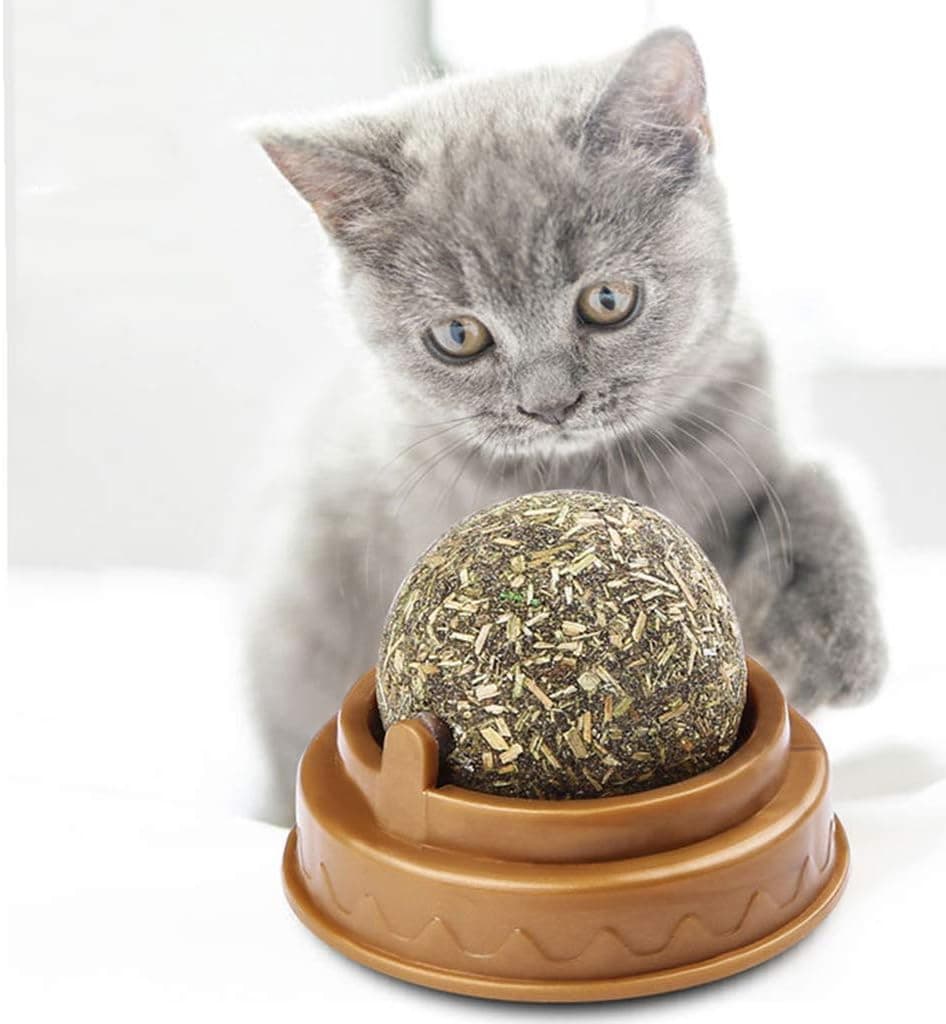 Kedi Nanesi Oyun Topu