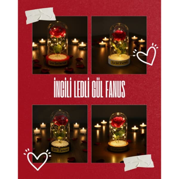 İncili Ledli Gül Fanus