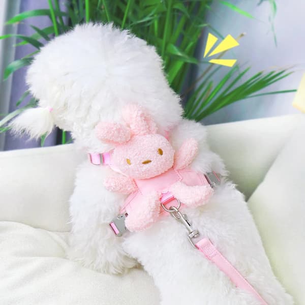 Evcil Hayvan Peluş Ayıcıklı Göğüs Gezdirme Tasması Set