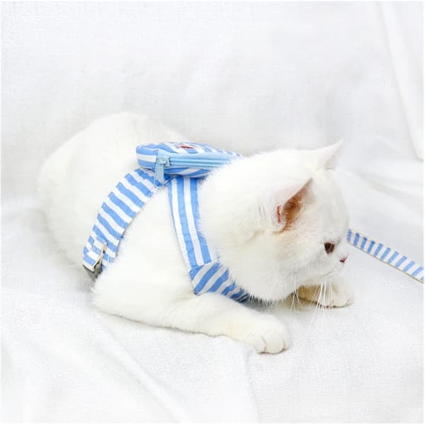 Evcil Hayvan Çantalı Göğüs Gezdirme Tasması Seti