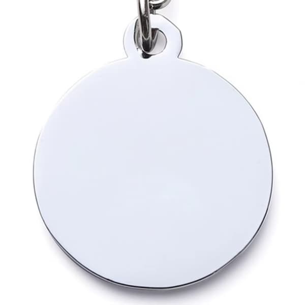 Evcil Hayvan Klipsli Tasma Künyesi